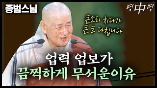 업력, 업보가 끔찍하게 무서운 이유  [명법문만 모았다! 명중명💡│종범스님]