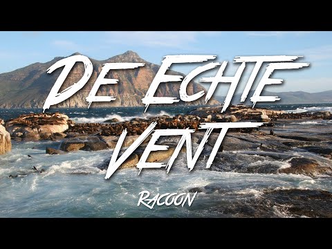 De Echte Vent - Racoon (Lyrics) [HD]