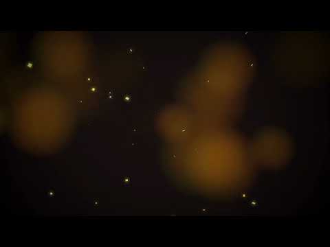 Golden Particles Stock Video Footage | No Copyright video