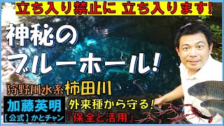 立ち入り禁止に立ち入ります！神秘のブルーホール、狩野川水系柿田川！清流の危機!?美しい自然をみんなで守りましょう！日本三大清流、国指定天然記念物！カミツキガメも注意！≫ 加藤英明【公式】かとチャン