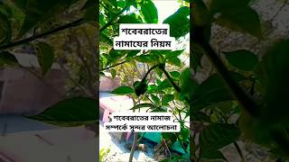 শবেবরাতের নামাজ। শবেবরাতের নামাযের নিয়ম #শবে_বরাতের_নামাজের_নিয়ম #সবেবরাত #islamicvideo #শবেবরাত