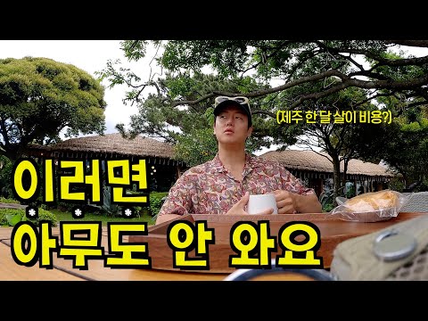 요즘 말 많고, 馬도 많은 제주 관광지 1인 여행자 시점 솔직 후기