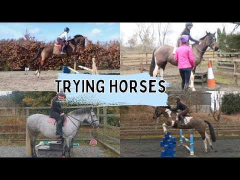 TRYING HORSES| Getting First Horse!