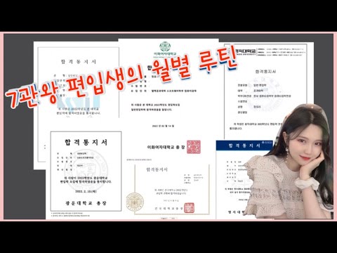 편입 브이로그 | 7관왕 편입생의 월별 편입일기