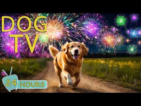 DOG TV: Video Happy New Year for Dogs - Anti Anxiety Music for Dogs to Calm from Fireworks and Bangs