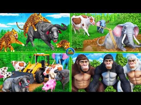 Best of Toon Animals - Wild Life, Epic Animal Rescue, Animal Attacks, Animal Escapes, Animal Fights