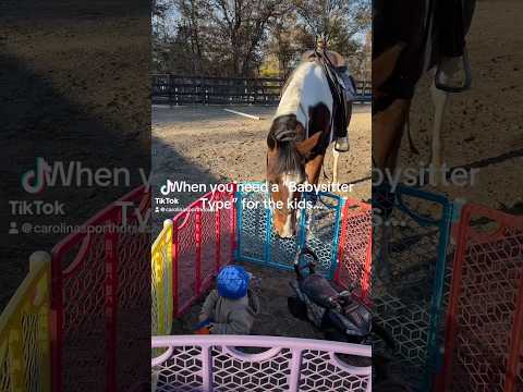 Check him out on our website #horse #horses #yellowstone #cowboy #equestrain