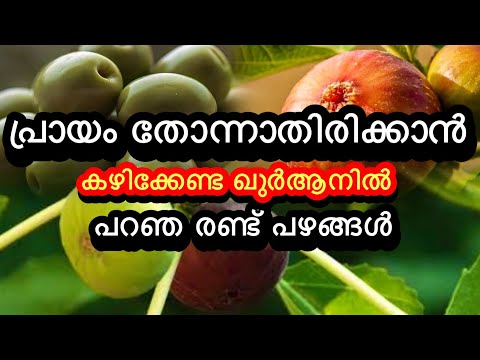 പ്രായം തോന്നാതിരിക്കാൻ കഴിക്കേണ്ട ഖുർആനിൽ പറഞ രണ്ട് പഴങ്ങൾ 🫒