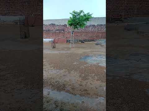 ☔बरसात के दिन आये🌧️short#viral video