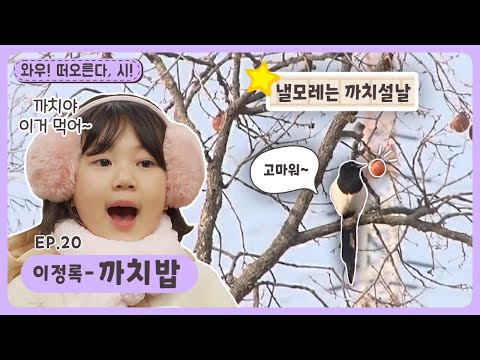 감나무 맨 꼭대기에 있는 감을 안 따는 이유는?ㅣ딩동댕유치원ㅣ까치밥