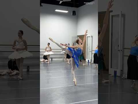 Raymonda by Lilian Rossman #ballerinas #ballet #ballerina #balletdancer #dancer #fyp #viral