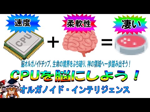 【ゆっくり解説】脳みそ最強。オルガノイド・インテリジェンスについて語るぜ！