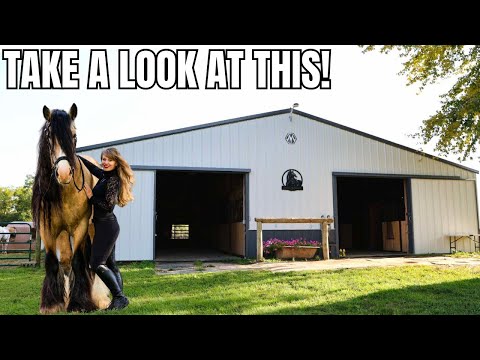 FARM TOUR 2024! Walk Through Free Spirit Equestrian