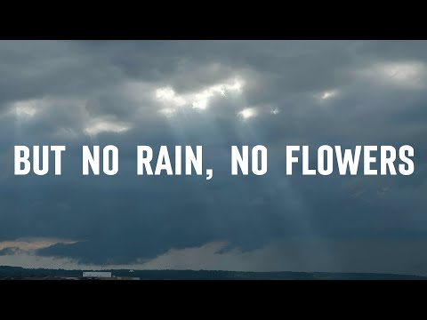 Carly Pearce - No Rain (Lyrics)