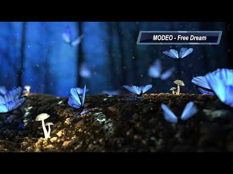 MODEO - Free Dream