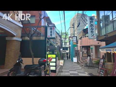 Clear Winter Skies Walking Through Tokyo’s Historic and Modern Streets | Japan