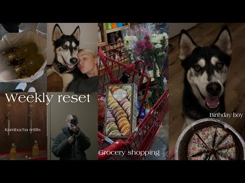 MY RESET ROUTINE | restocking, cleaning, grocery shopping! & ITS PLUTOS BDAY!