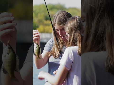 Illinois Family Camping and Fishing Spot: Rock Cut State Park