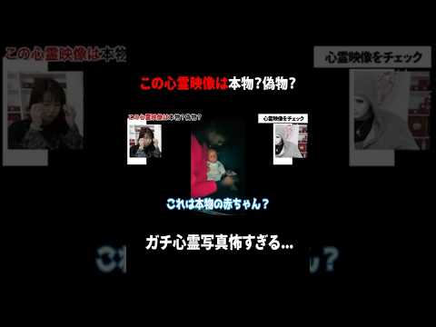 心霊映像をプロに鑑定してもらったら最悪な結果になりました…【ラファエル】