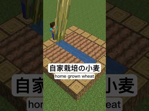 スケルトンの犬用ケーキ #minecraft #mineimator #mineimatorrender #マインクラフト #memes #マインクラフト #minecraftanimetion