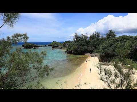 島さんぽ／沖縄の海／天然ビーチ／ ザネー浜／恩納村の海／沖縄の絶景／観光スポット／OSMO POCKET3 「ビーチロケでも人気のザネー浜」おっさんVLOG #40