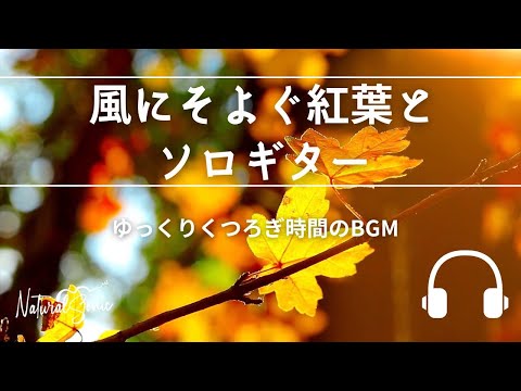 Natural Sonic「風そよぐ秋の紅葉とソロギター」-ゆっくりくつろぎ時間のBGM -