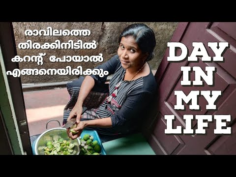 ഇങ്ങനെയൊക്കെ കരഞ്ഞ് അമ്മേനെ സങ്കടപെടുത്തല്ലേടാ ജോക്കുട്ടാ #dayinmylife @adukkalayilninnum228