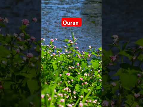 Quran Urdu translation | #motivation #motivational #quran #shorts #youtubeshorts