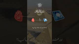 #islamicvideo #quran_urdu_translation #quranic_light