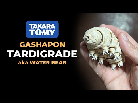 Takara Tomy Tardigrade aka Water Bear Gashapon