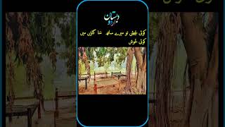 #besturdupoetrycollection #poetrystatusvideo  , #urdupoetry, کوئی چُھٹی تو میرے ساتھ مَنا گاؤں میں