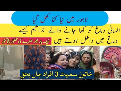 naegleria virus in Lahore|new bimari news|new bimari in pakistan|urdu point