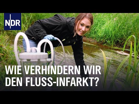 Unser Fluss soll leben!  | Doku | NDR Story