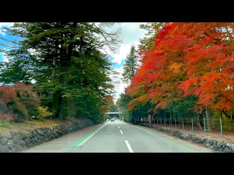 軽井沢ドライブ・ある秋の日曜朝ドラ【軽井沢駅・旧軽井沢・南軽井沢・南が丘】2023.10 KARUIZAWA Drive