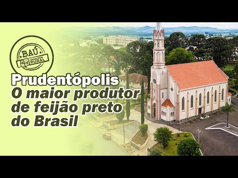 Prudentópolis: O maior produtor de feijão preto do Brasil  #BaúCGRural