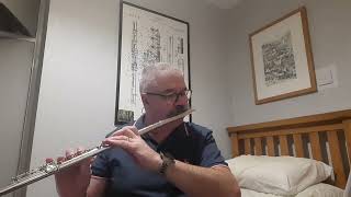 Have yourself a Merry Little Christmas   #flute #haveyourselfamerrylittlechristmas #christmas