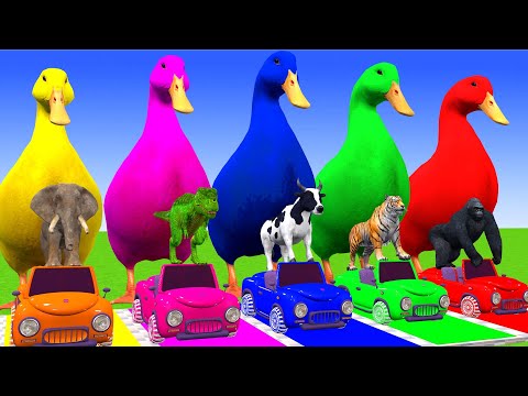 5 Giant Duck Cartoon, Cow, Giraffe, Elephant, Lion, Paint Wild Animals Crossing Fountain Animation 5