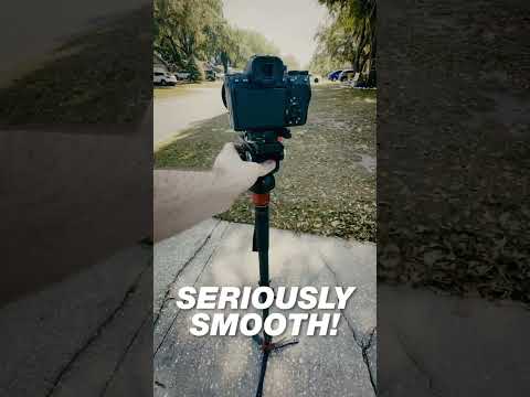 You NEED this Monopod! iFootage Cobra 3