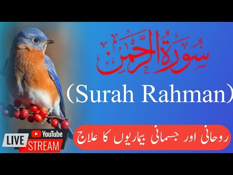 "Live Quran Recitation - surah Rehman | Join Us for Talawat quran  by Hafiz Tahir