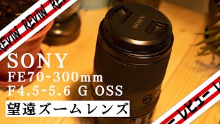 【レビュー】これぞSONYクオリティー！？α7ⅲと相性抜群のEマウント望遠ズームレンズを紹介♪