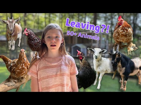 PREPARING TO LEAVE with 50+ ANIMALS!