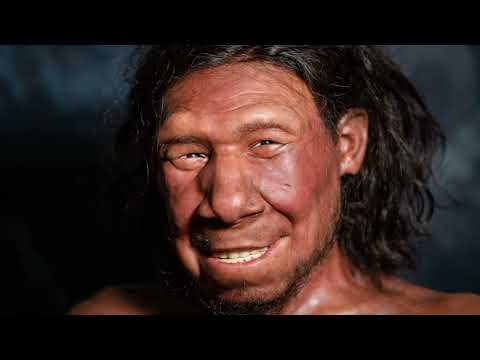 Neanderthals and Denisovans