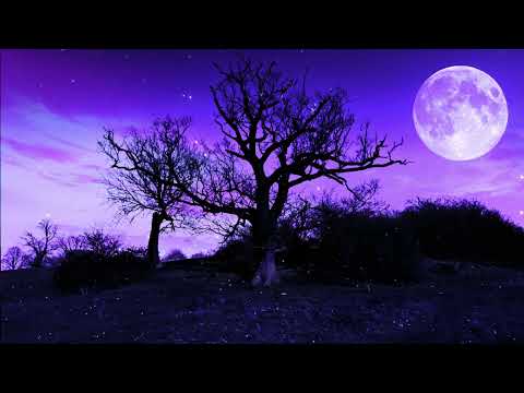 Meditation Music 528Hz | Sleeping Meditation Healing | Miracle Healing Energy | Meditative Relaxing