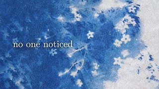 no one noticed - the marías lyrics//vietsub