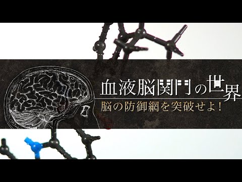 血液脳関門の世界 脳の防御網を突破せよ! | ガリレオX第89回