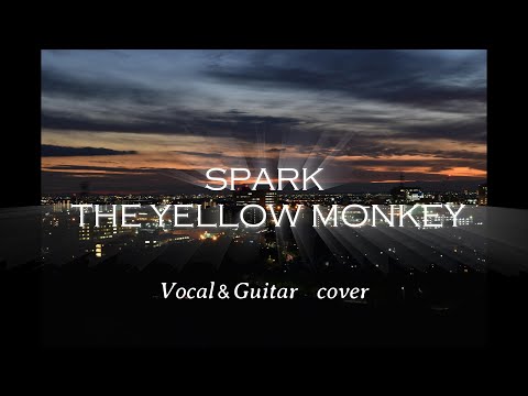 THE YELLOW MONKEY SPARK ～歌ってみた＆弾いてみた