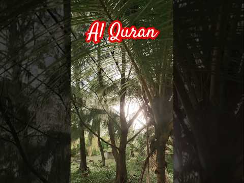 Surah Alfurqan #translationquranandislam #quran #urdu #qurantranslationinurduonly #ytshorts #nature