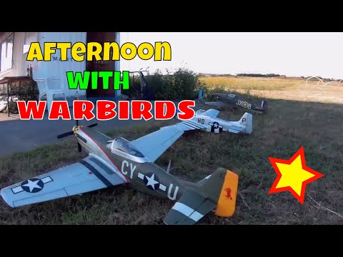 Afternoon with Warbirds from E-Flite, FMS and H-King