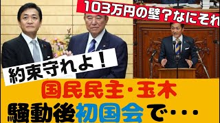 【国民民主･玉木】騒動後の初国会にて･･･約束守れよ！