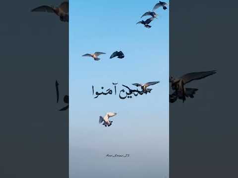 ان الله وملائكته يصلون على النبي #الشيخ_عبدالباسط_عبدالصمد #قران_كريم #تلاوات